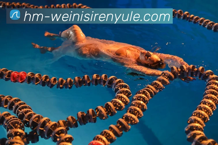 威尼斯人娱乐网站平台生态图